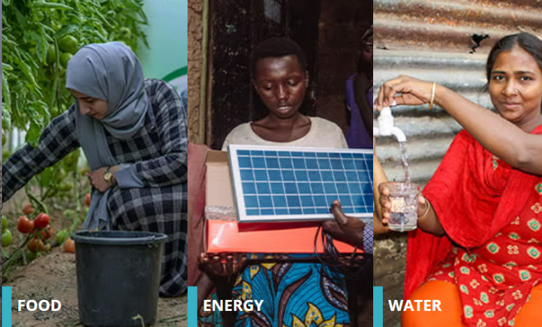 Photo of Zayed Sustainability Prize: Kenya, Egypt among Countries with Most Entries for Global Award